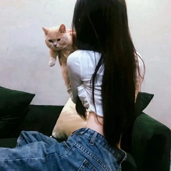 钢管舞娘